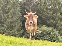 ontmoeting op 5 min. wandelen.