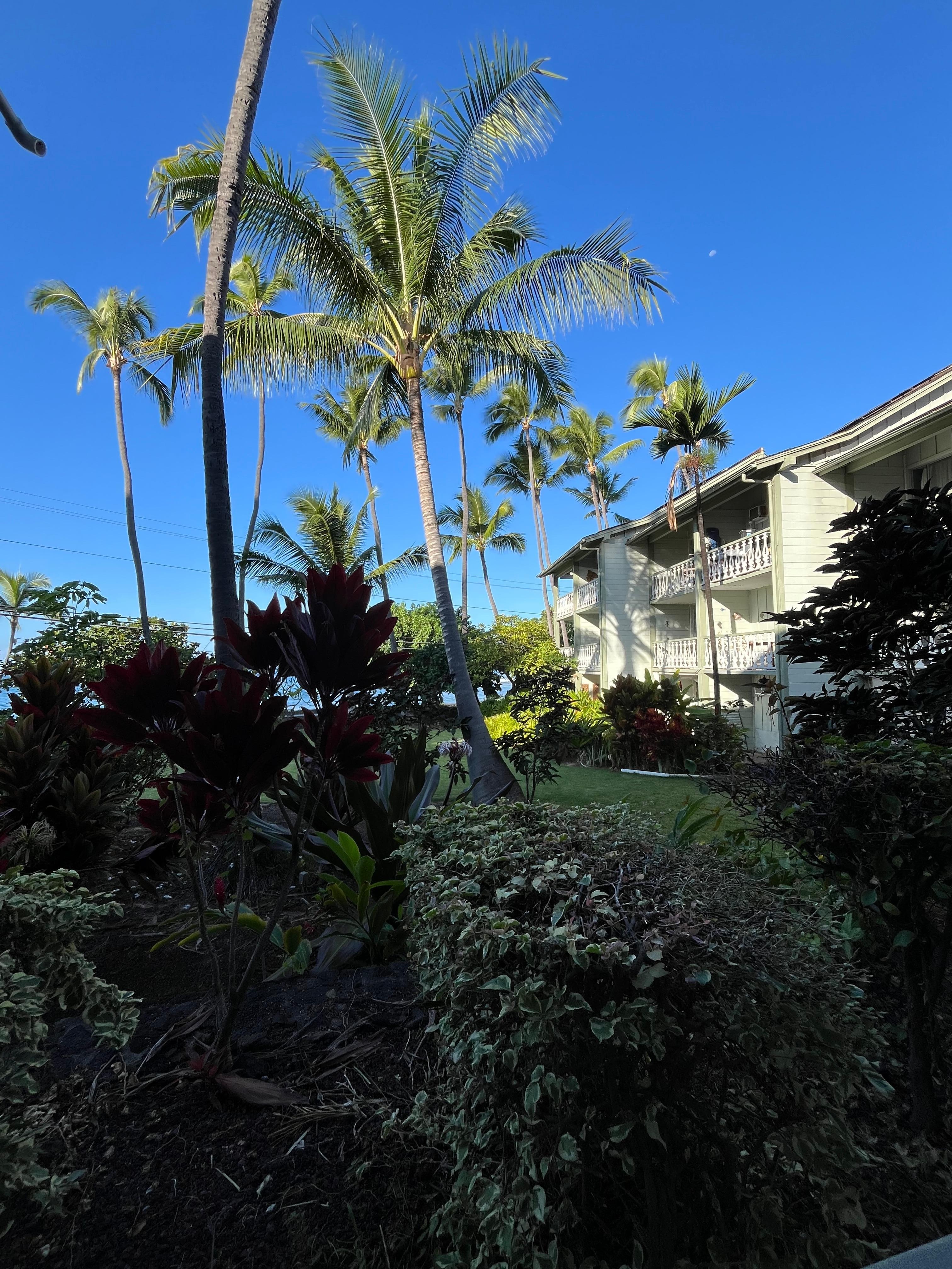 泊まったお部屋のラナイからの景色