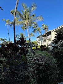 泊まったお部屋のラナイからの景色
