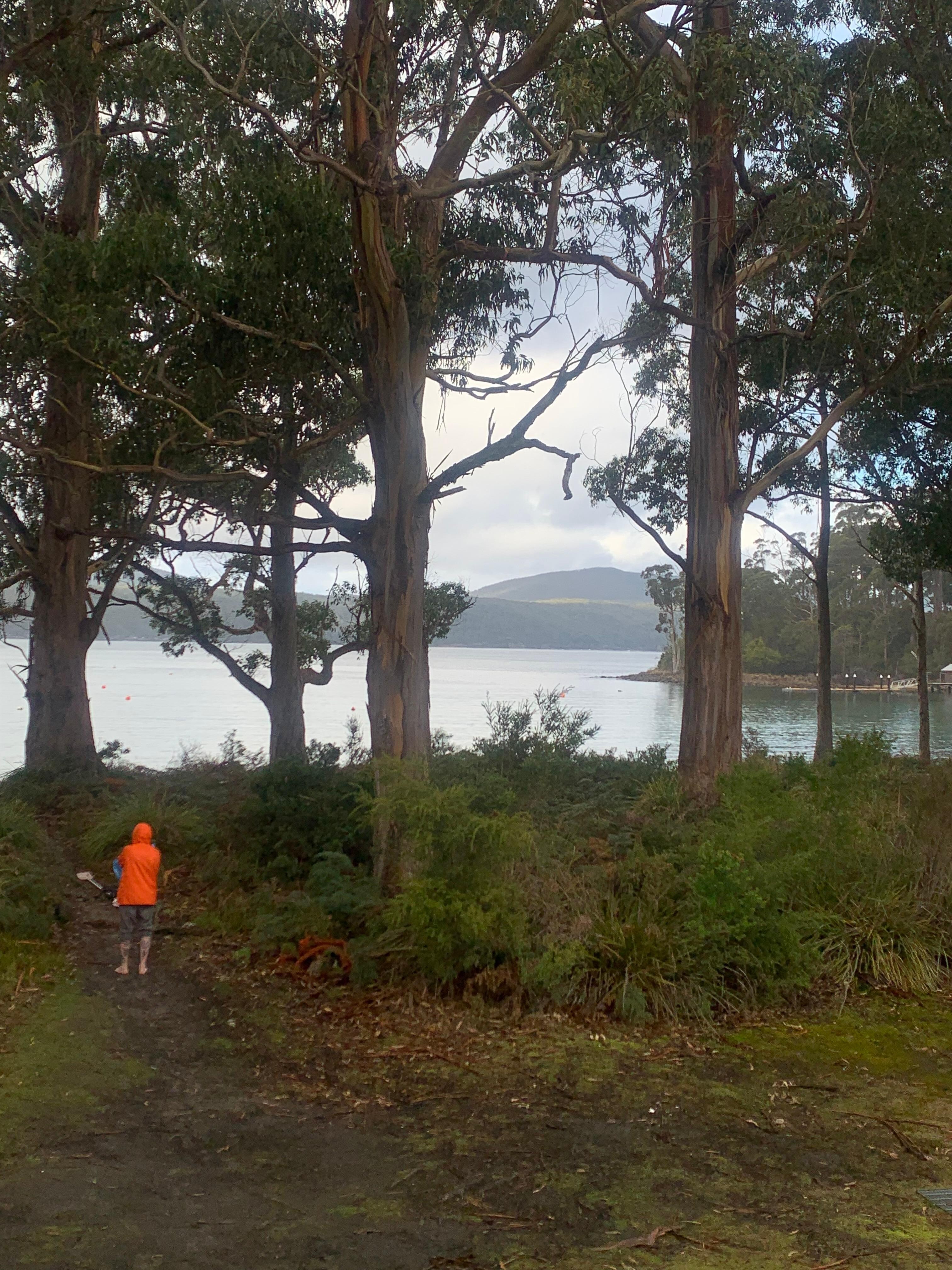 Just outside of the property