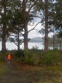 Just outside of the property