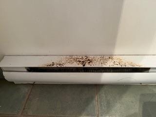 Rusting our electrical cover in both bathrooms ... just needs paint