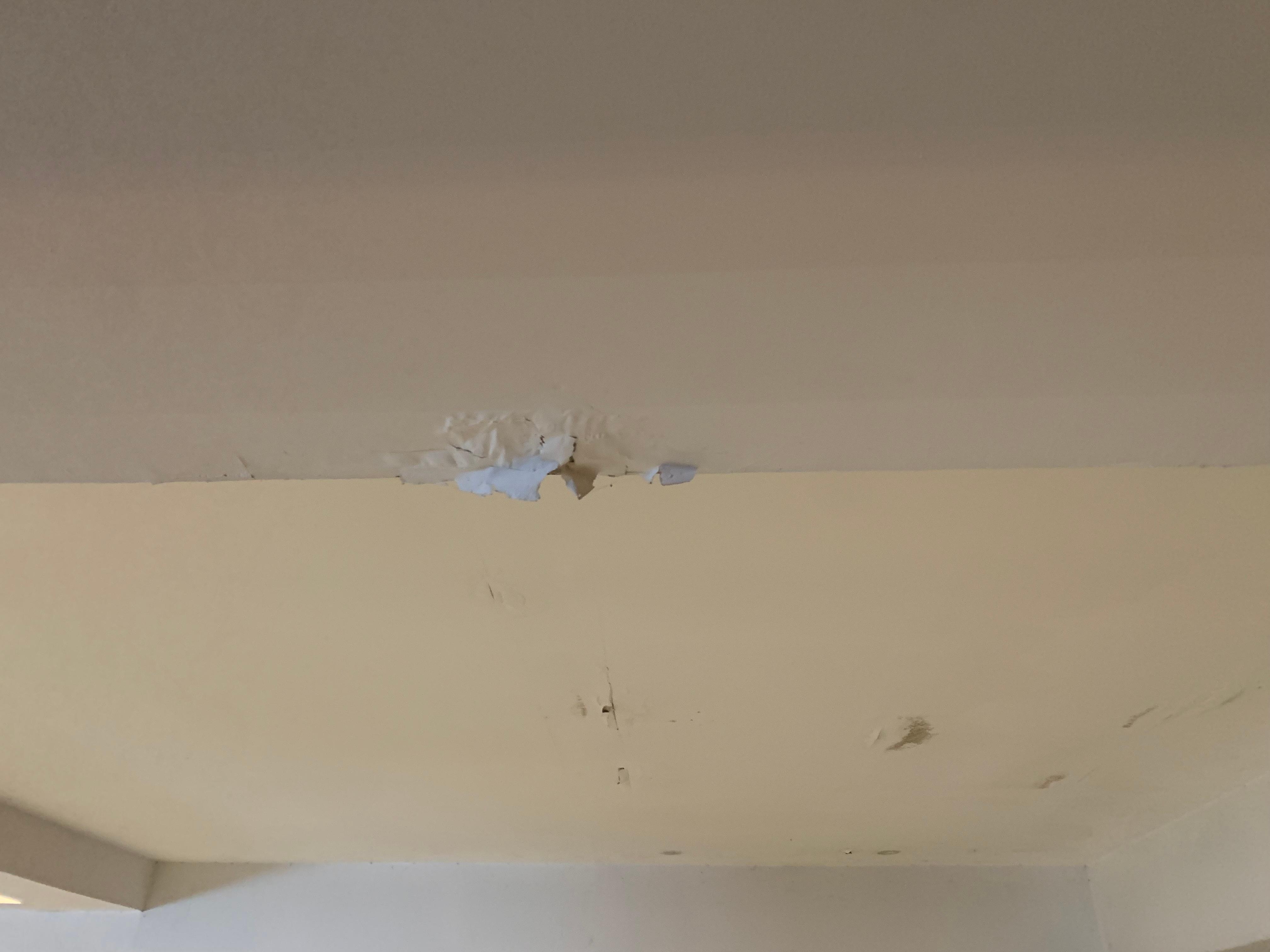 Paint coming from the ceiling 