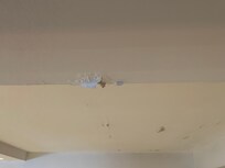Paint coming from the ceiling