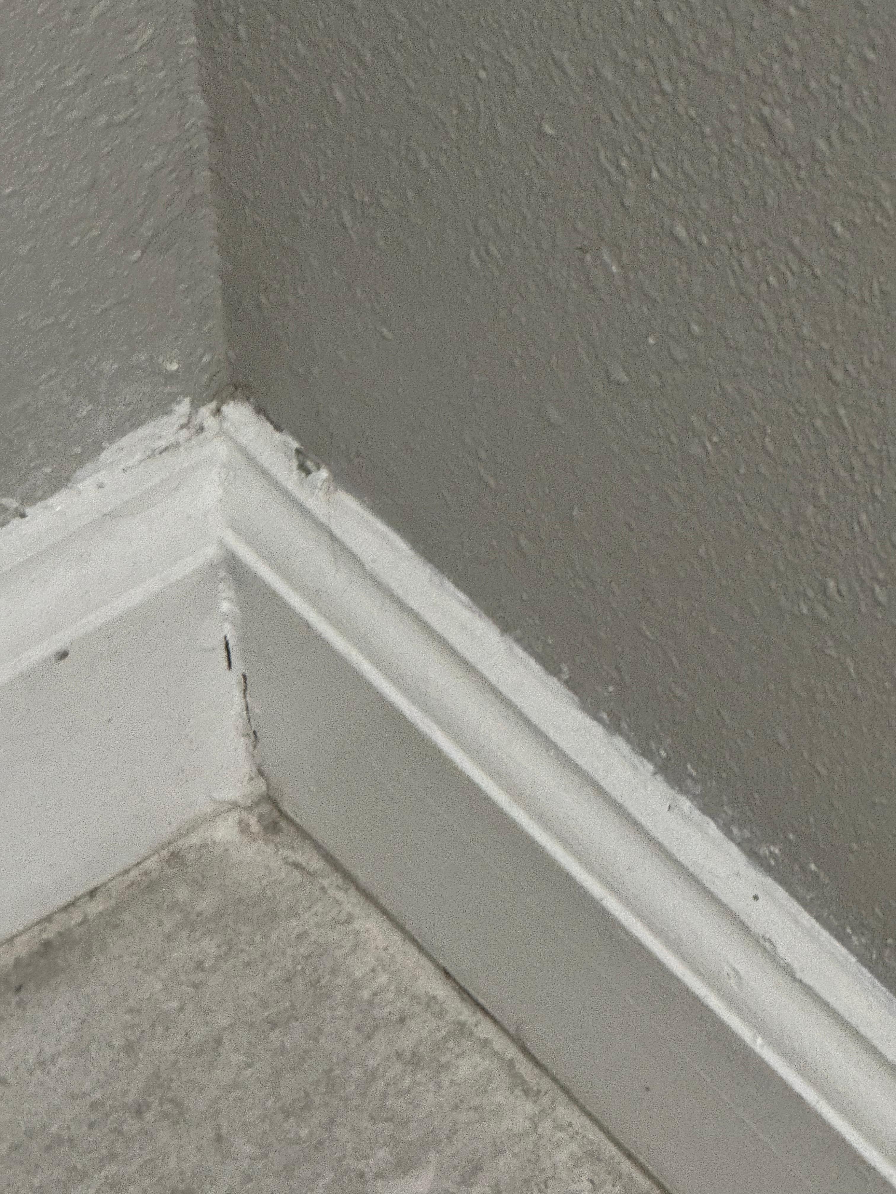 Place seemed dirty and older looking 