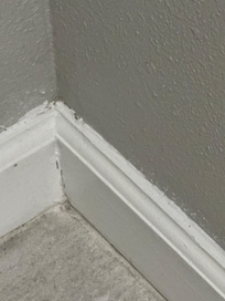 Place seemed dirty and older looking