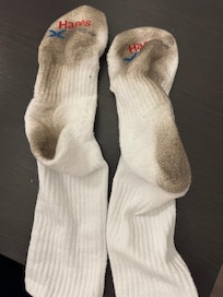 This was walking on the floor in 10 minutes