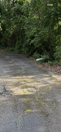 Second couch cushion near the house.