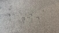 stains in living room(similar in bedroom)
