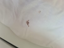 Marks just 1 of them on sheet