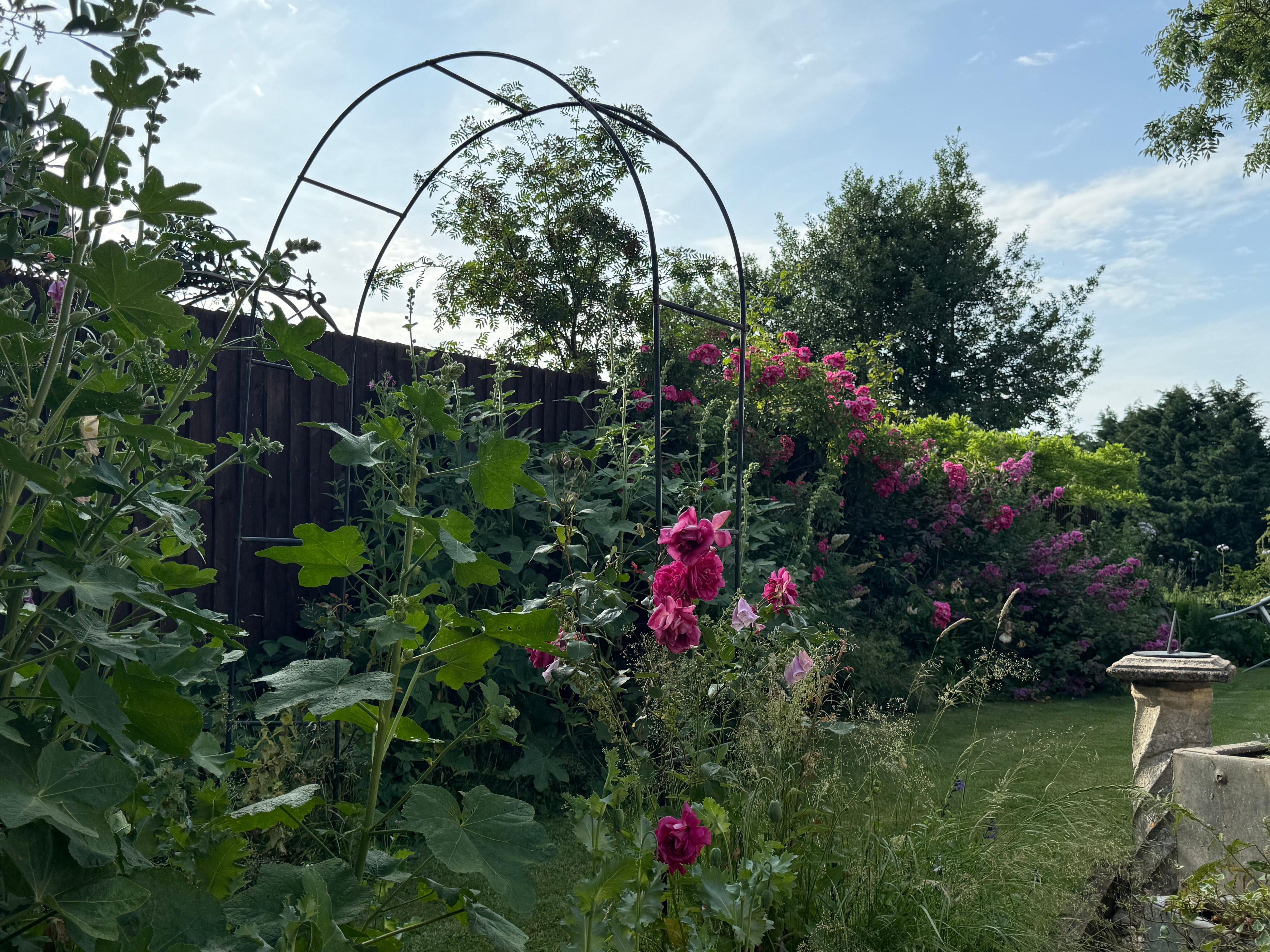 Landscaping at the house 