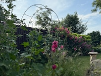 Landscaping at the house