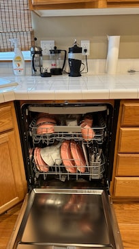 Dishes left in dishwasher