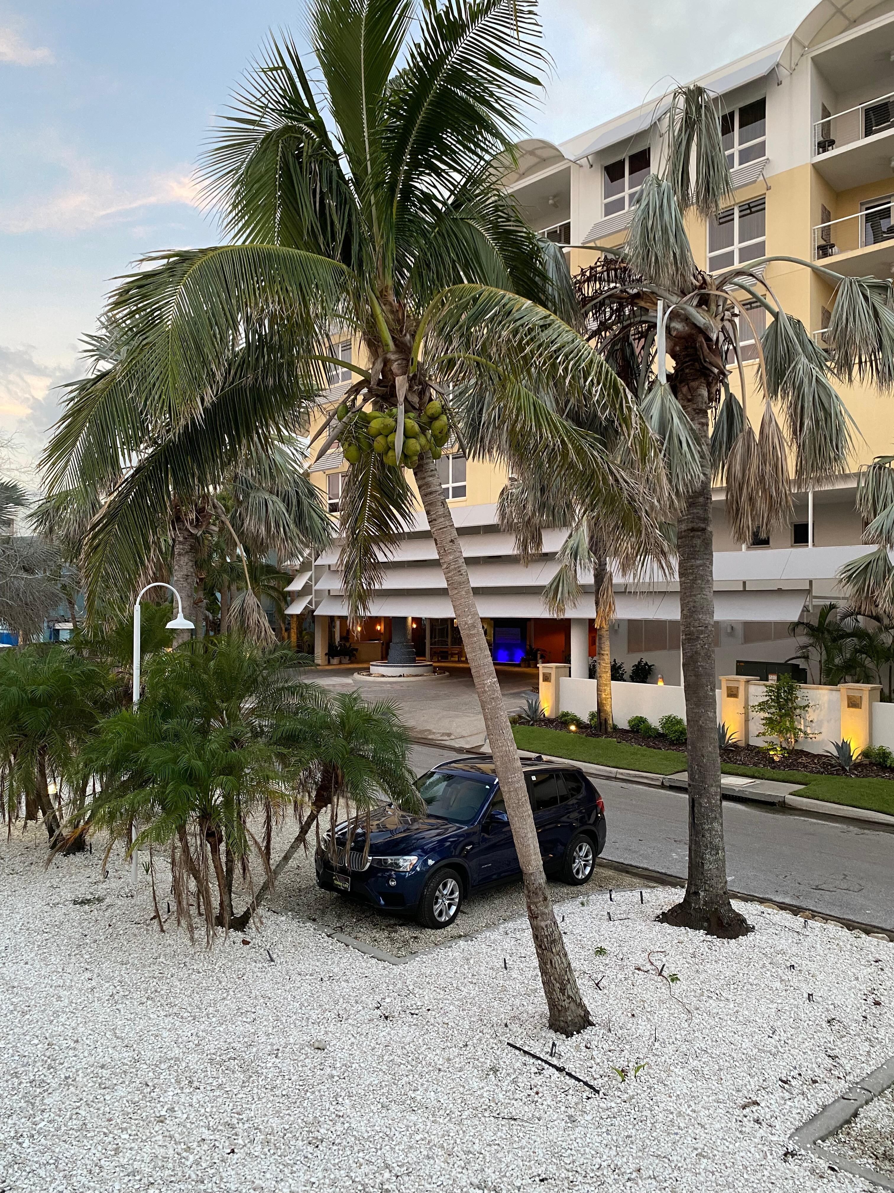 Parking right outside our room. Coconuts in the palm trees too!