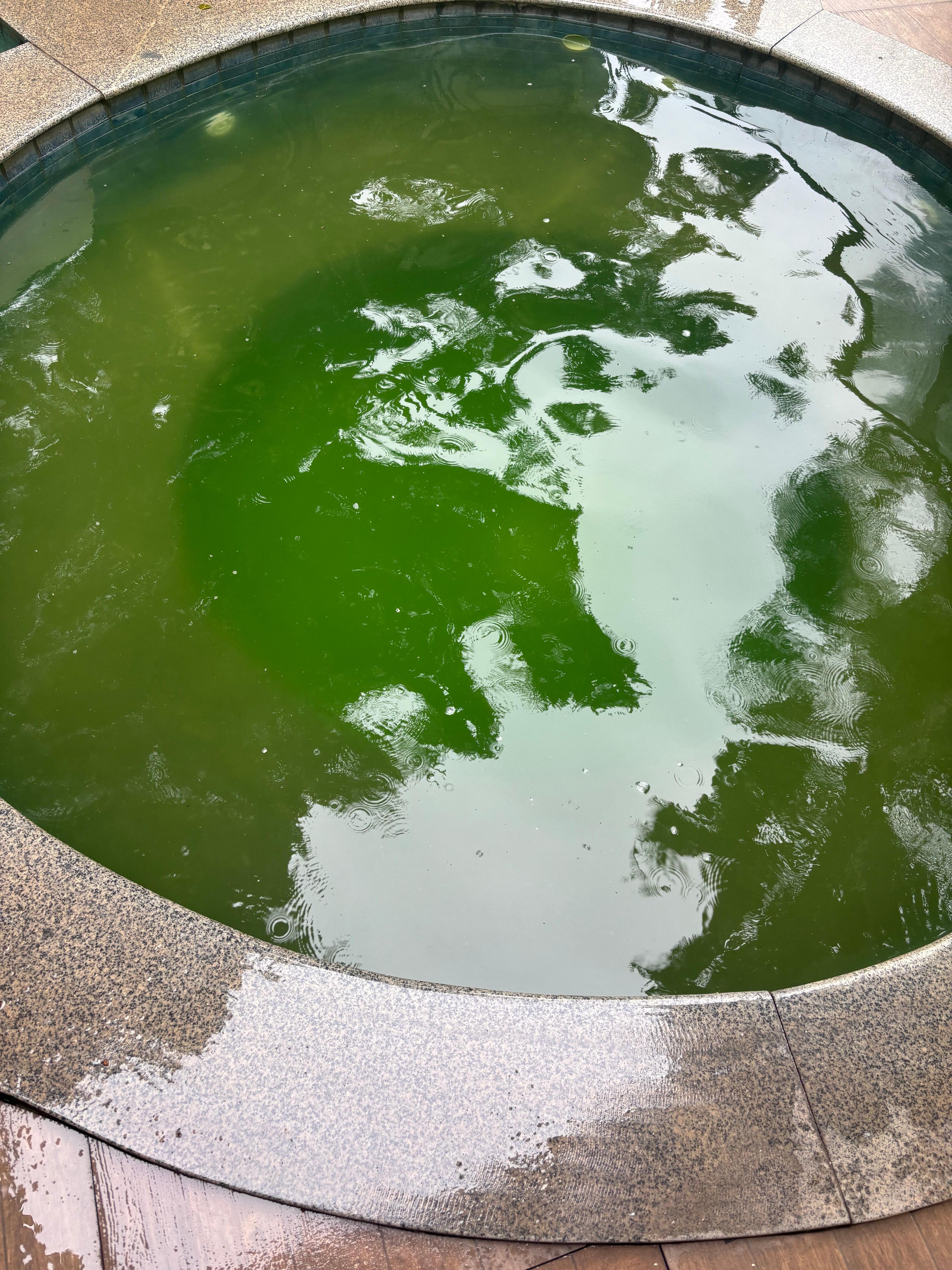 Piscina infantil 