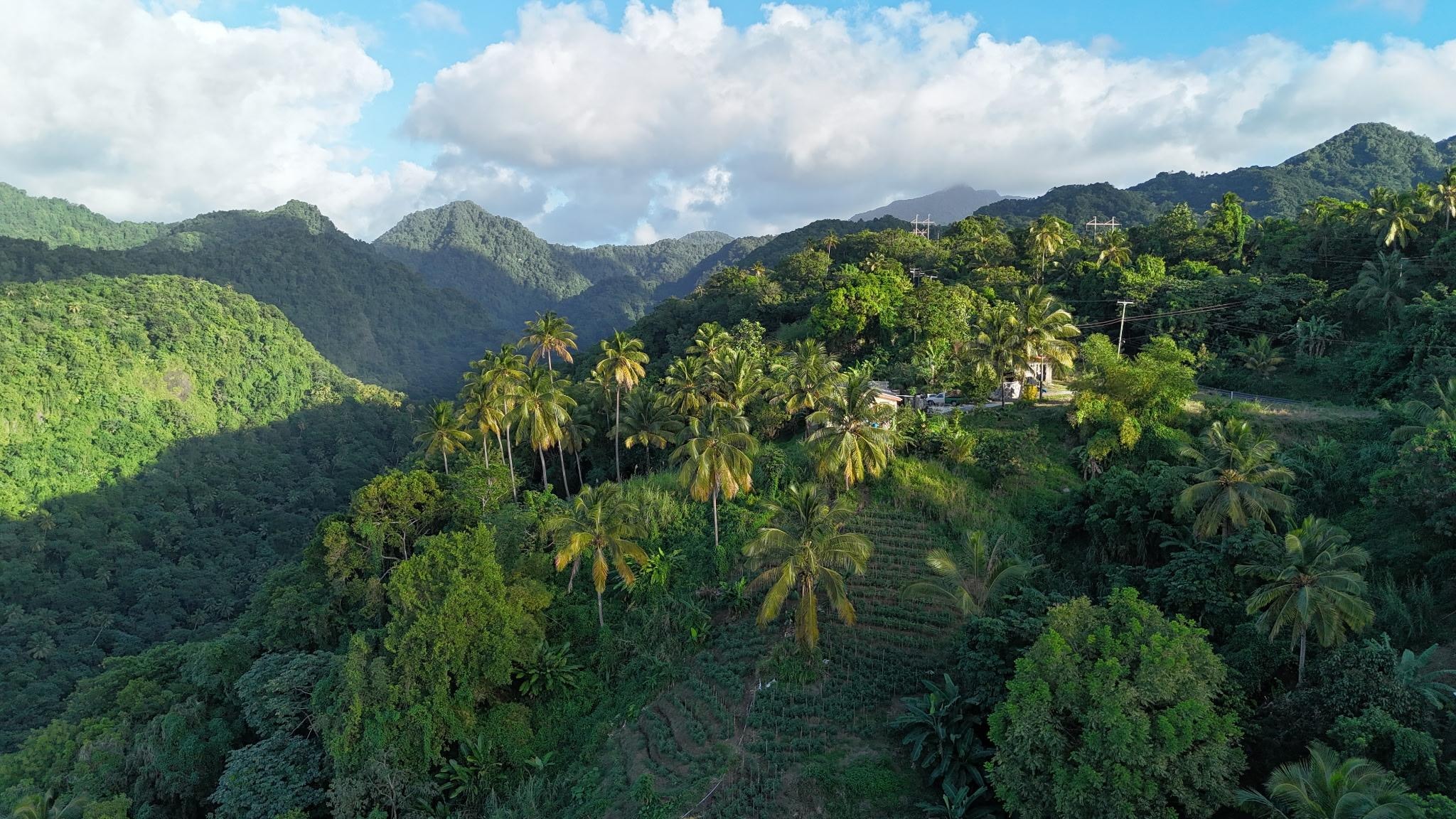 Drone photo surrounding property. 