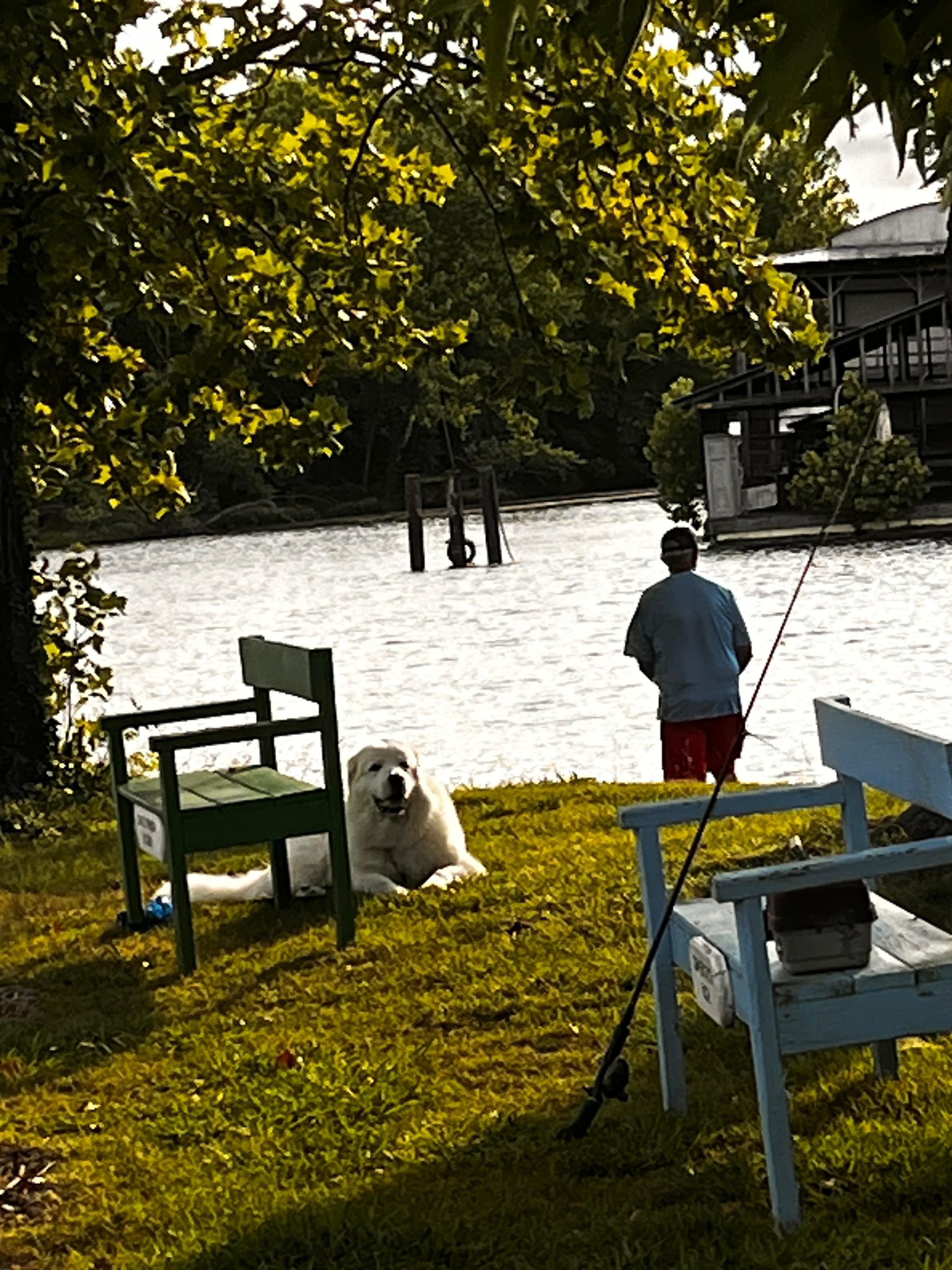 Peaceful fishing right down the road.  A quick 3 minute walk 