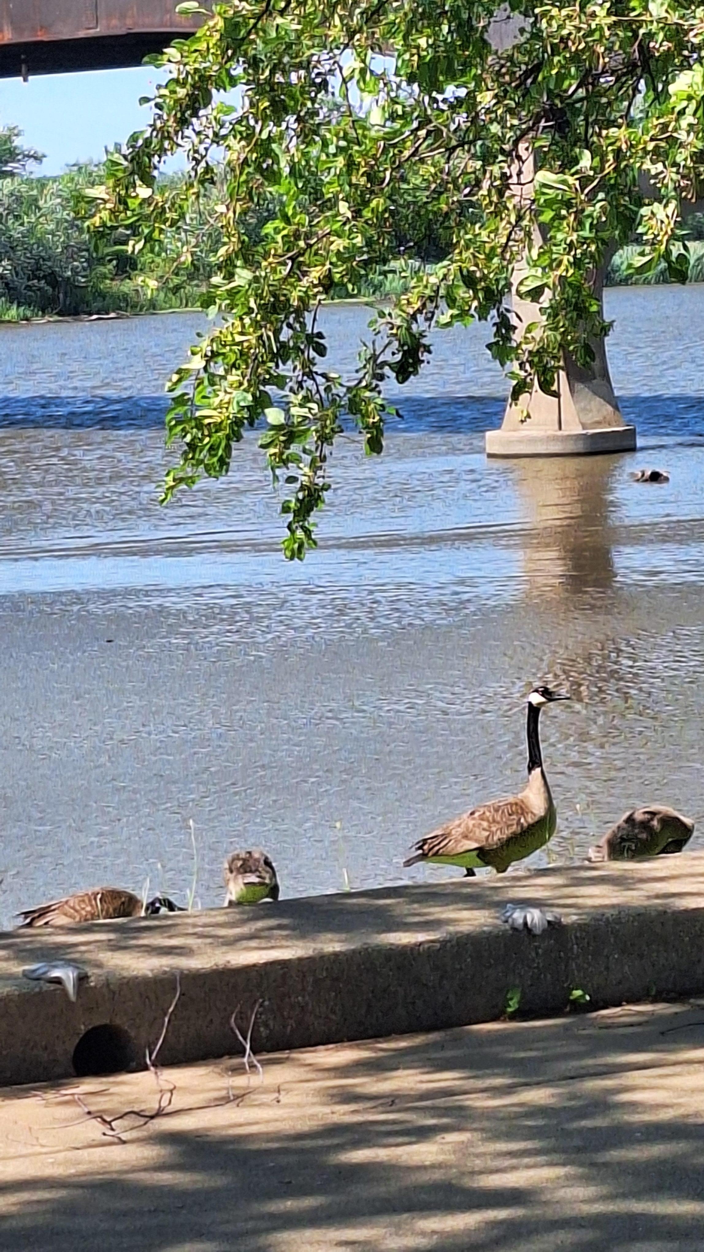 Great River Trail -Ben Butterworth Parkway