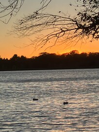 Sunset with ducks on the lake