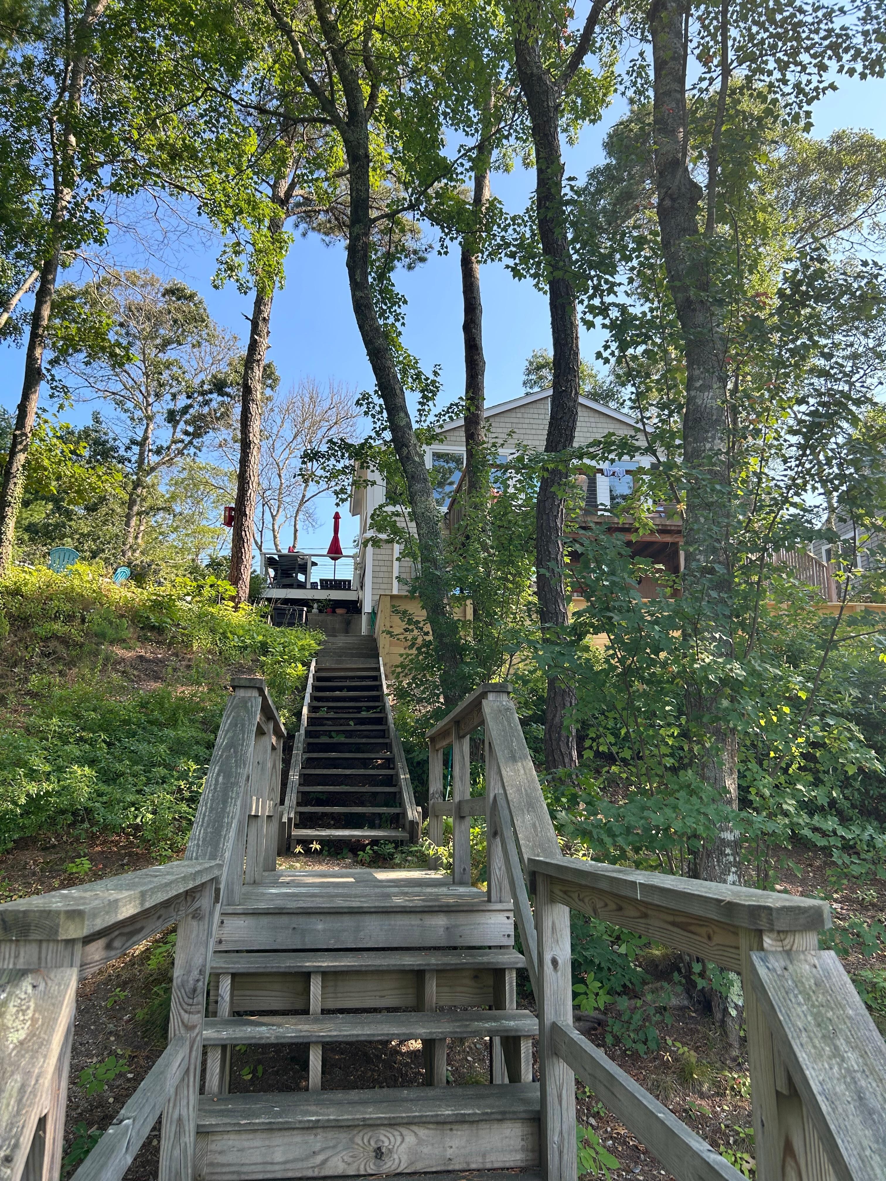 View up to the house