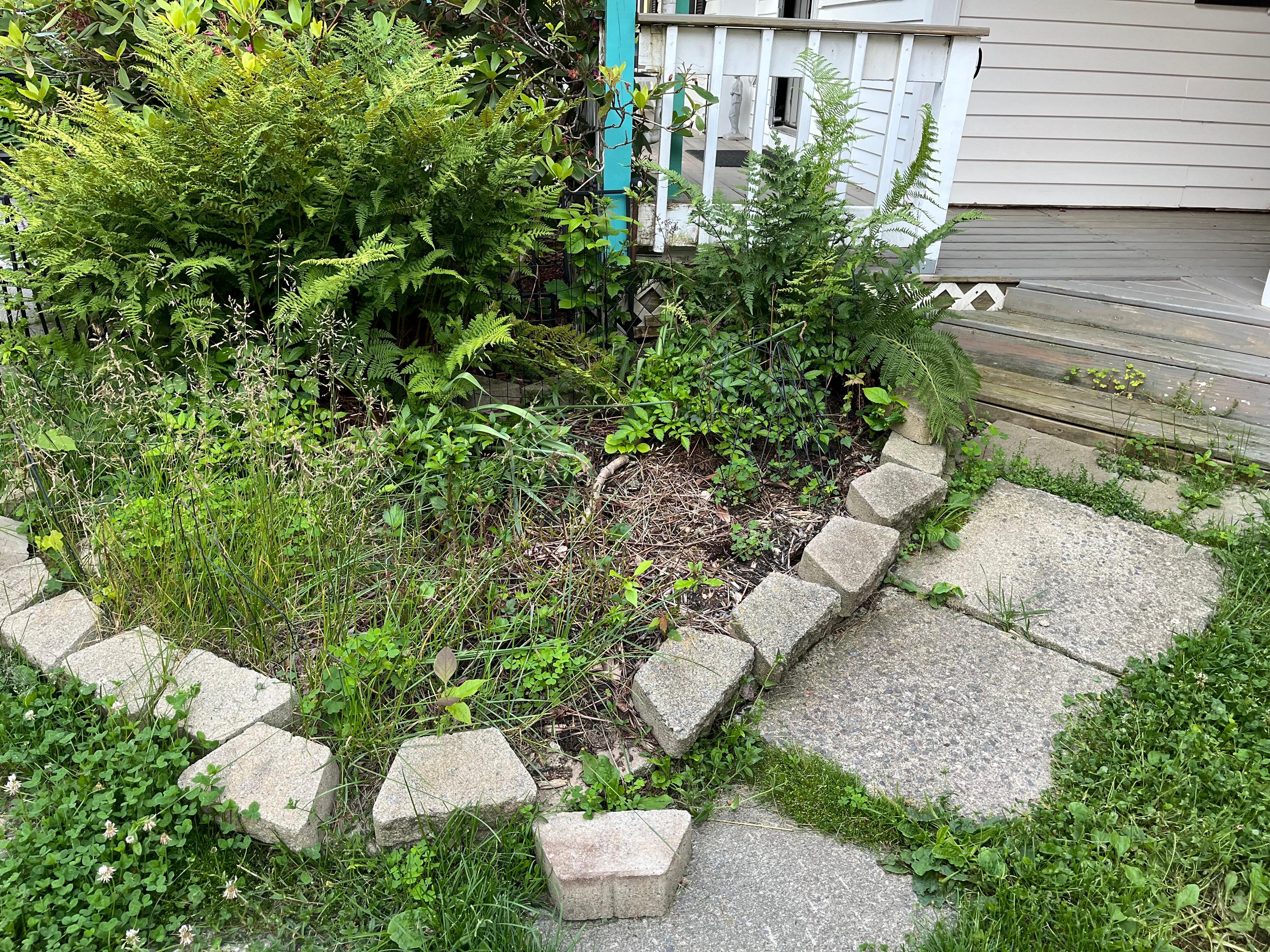 The landscaping