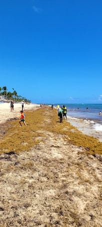 The hotel's Beach