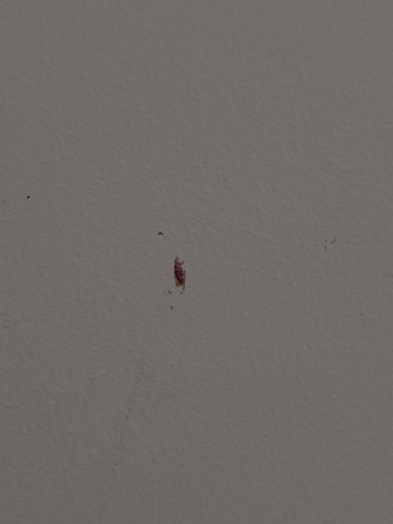 On the bathroom wall - blood?