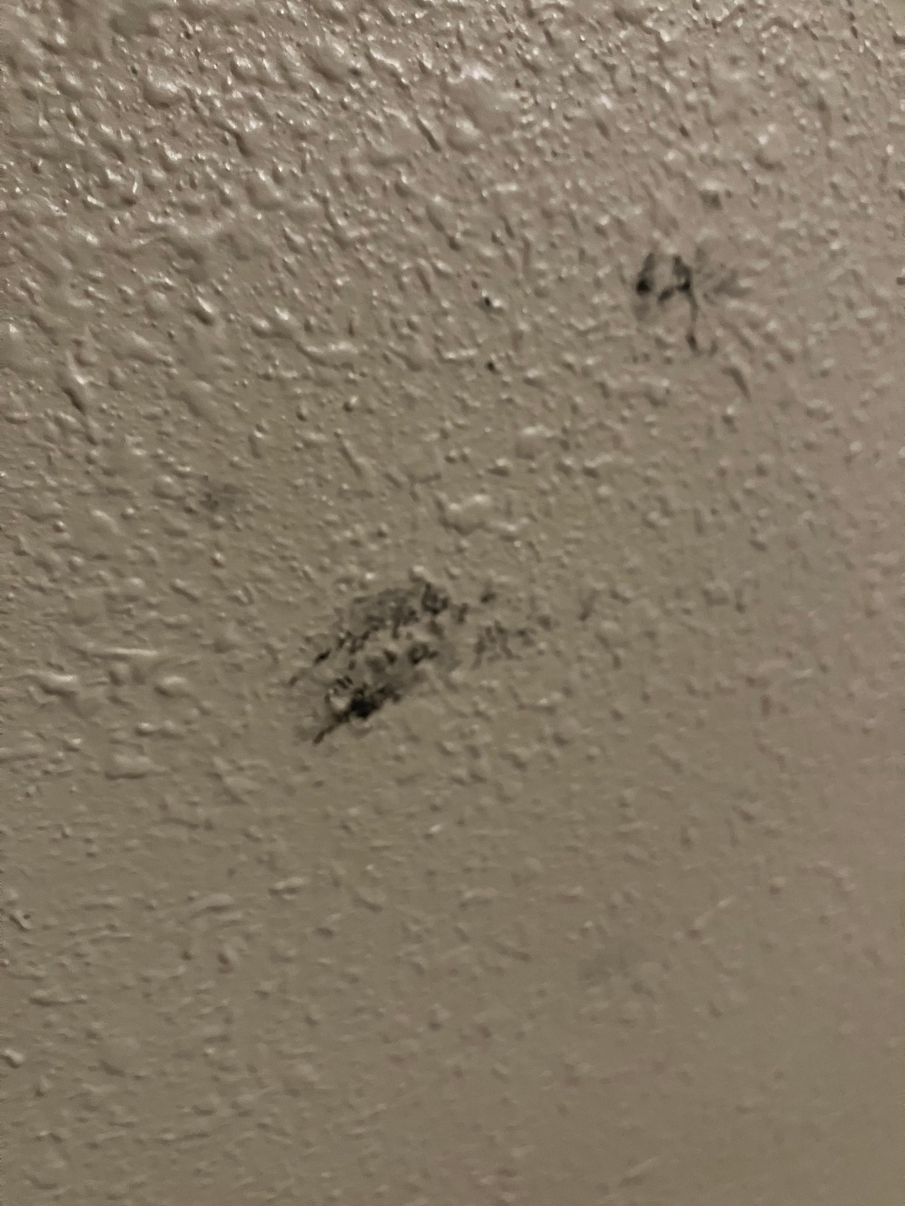 Unidentified sticky substance 