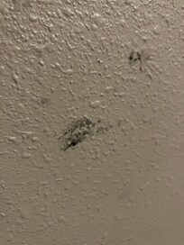 Unidentified sticky substance