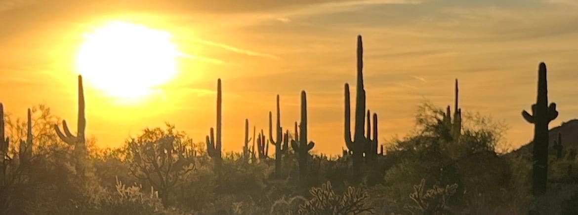 Sunset hike, Lost Sheep Trail, Usery Mountain Park