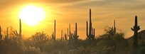 Sunset hike, Lost Sheep Trail, Usery Mountain Park