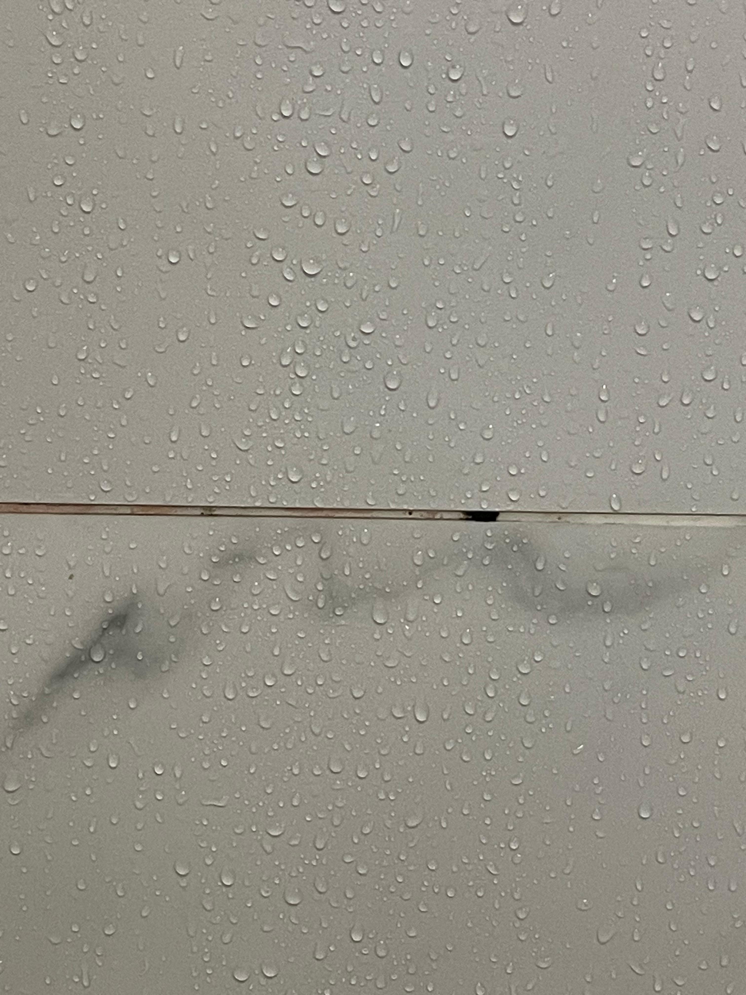 Mold