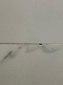 Mold