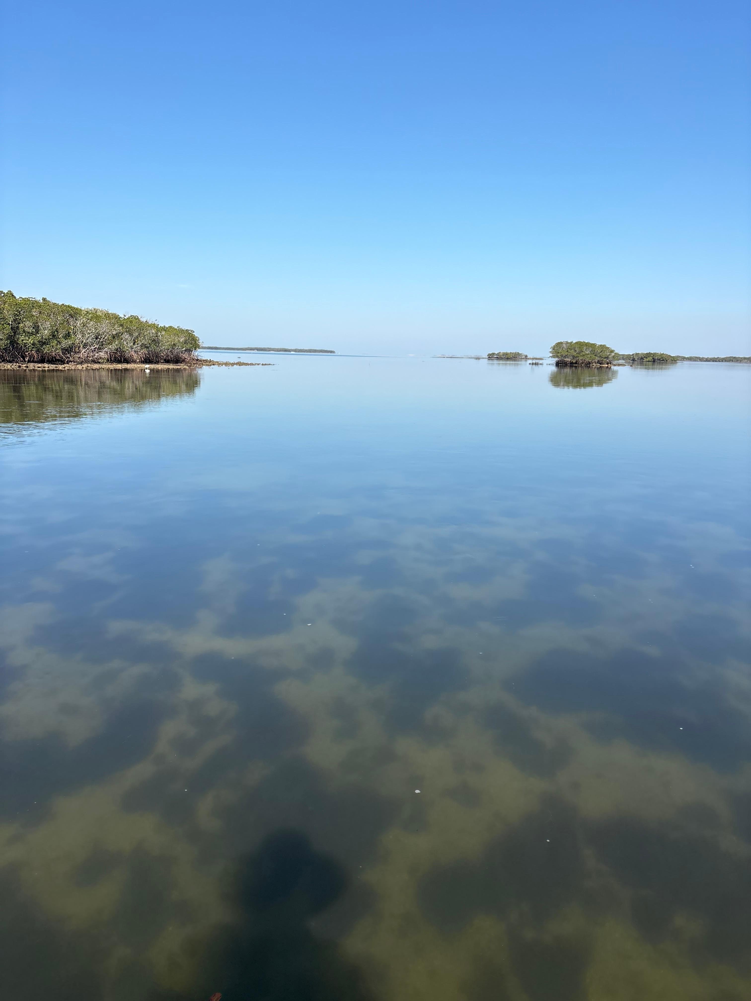 On the way to the gulf 