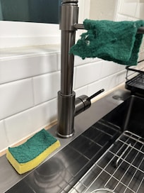 bacteria-laden sponges in kitchen