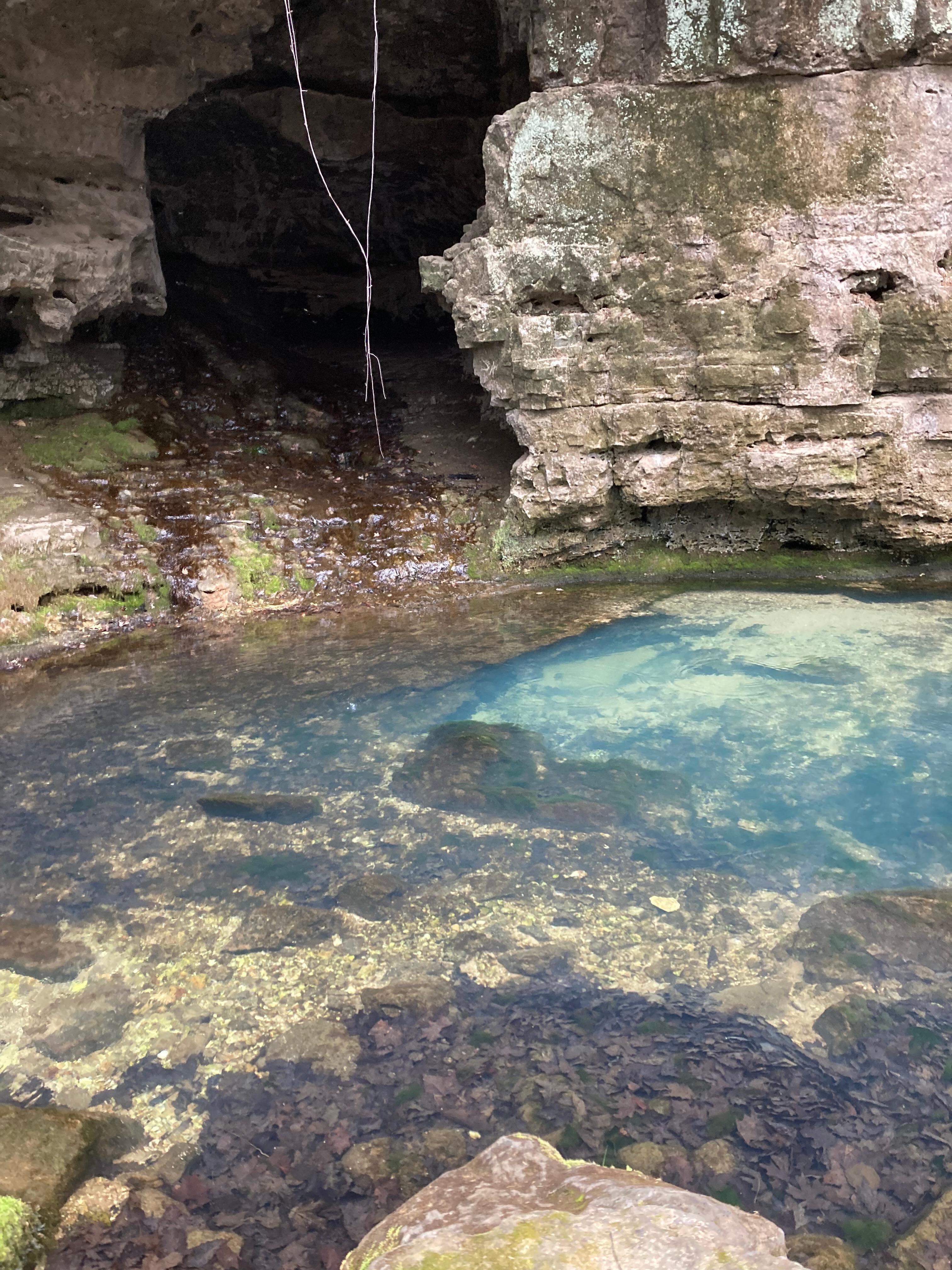 Natural spring short walk along the river, accessible from the  river access pavilion area!