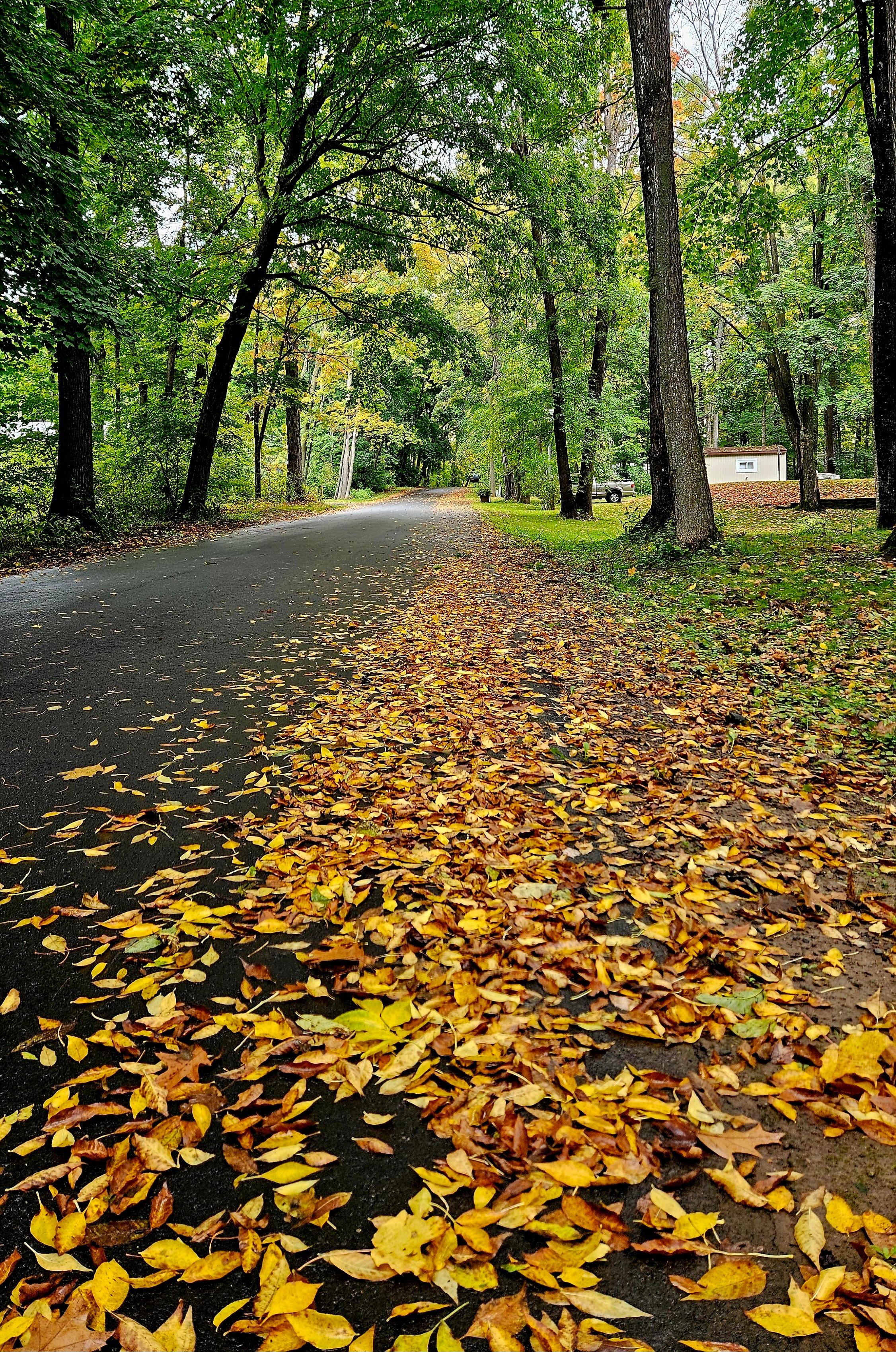 Our walk around neighborhood 