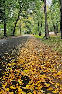 Our walk around neighborhood