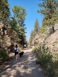 Hiking trail