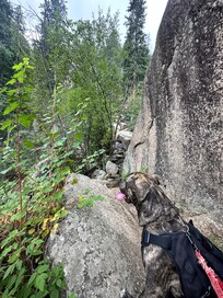 Trail across from cabin