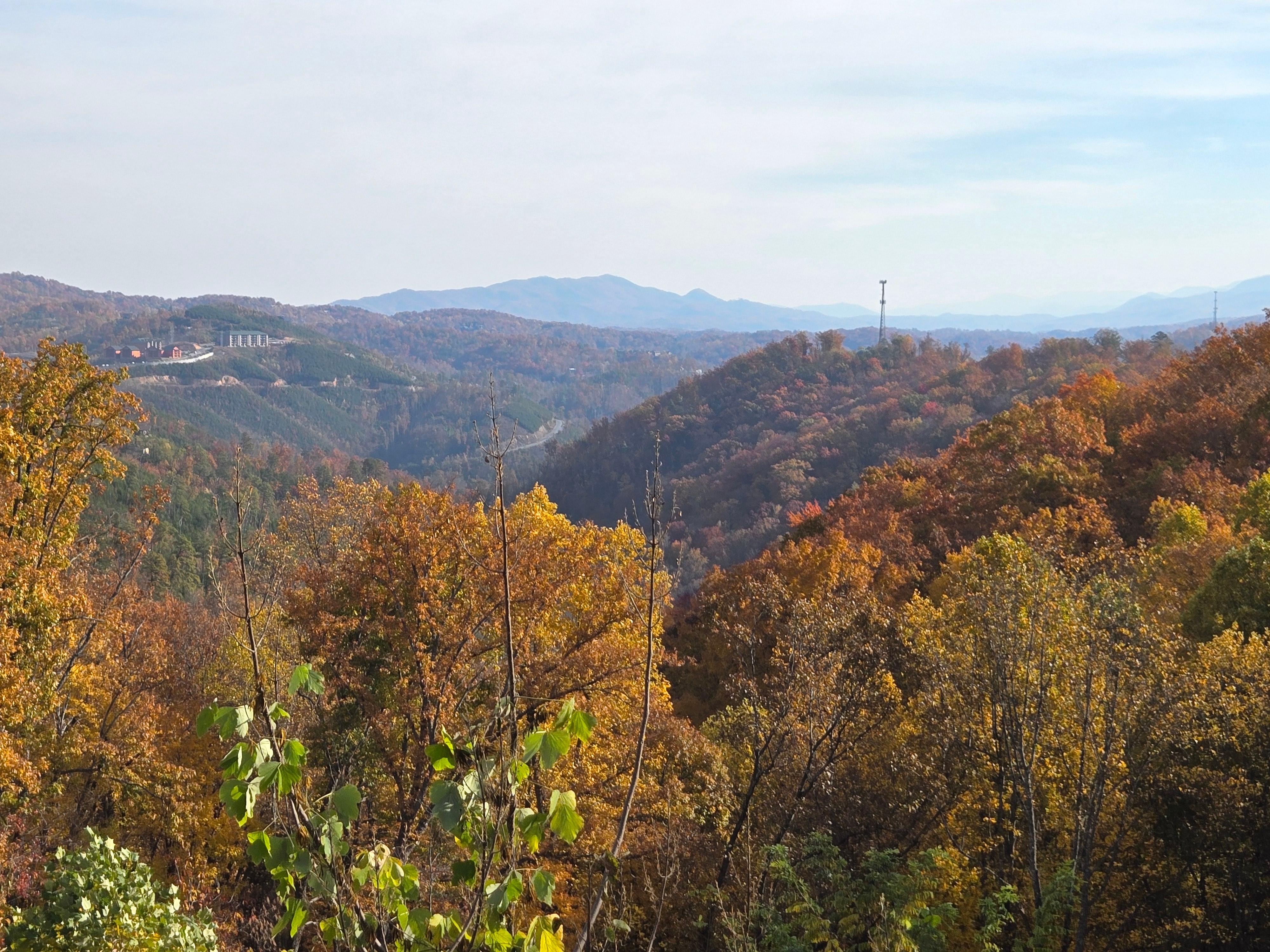 Morning views at its finest 