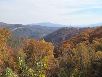 Morning views at its finest