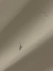 Ripped bedding.
