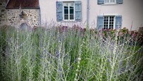 Gartenlandschaft