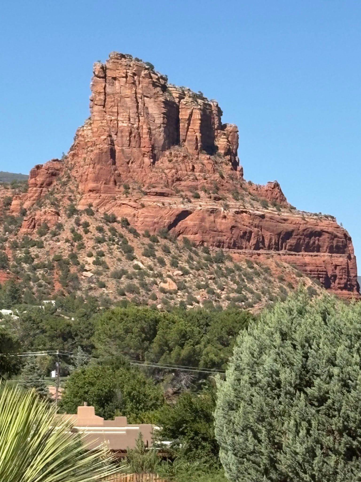View from the house