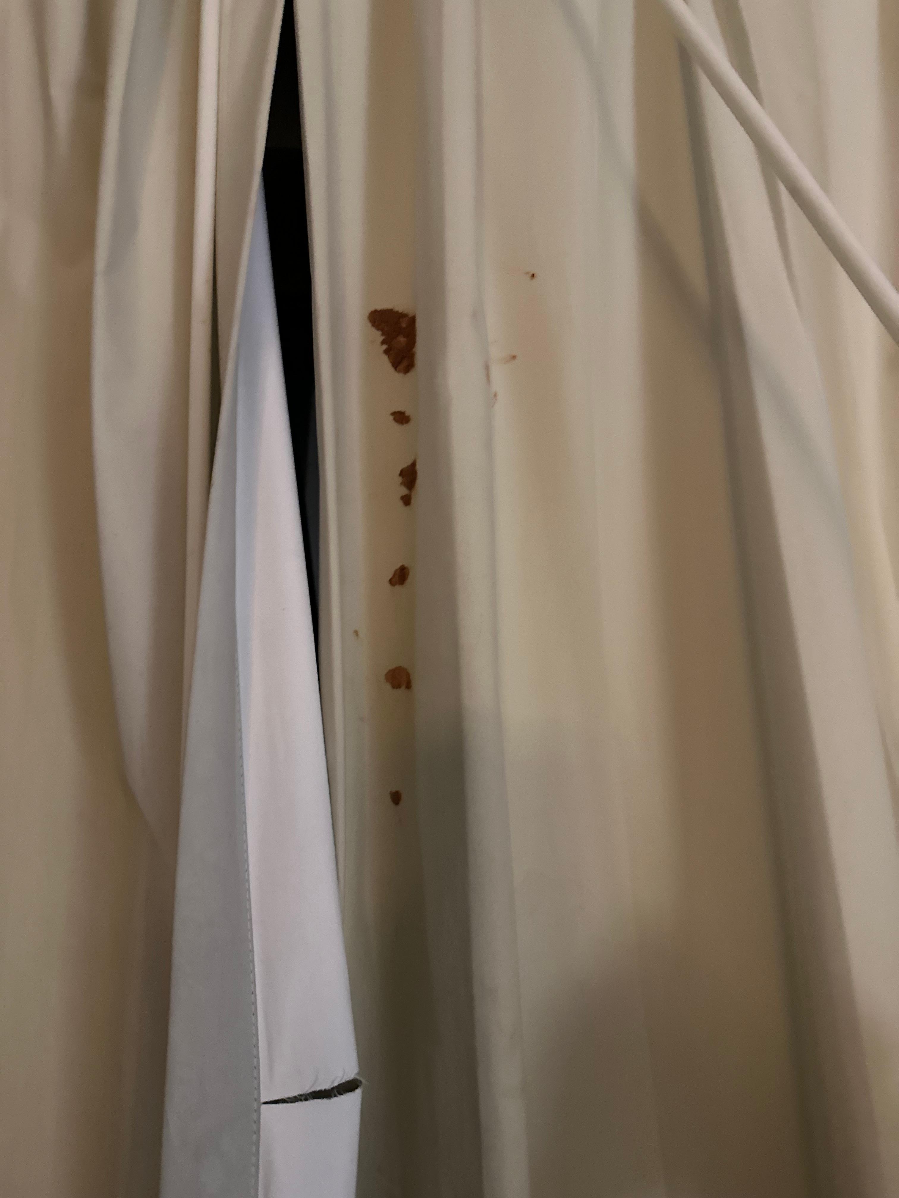 There was something gross on the curtain 