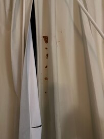 There was something gross on the curtain