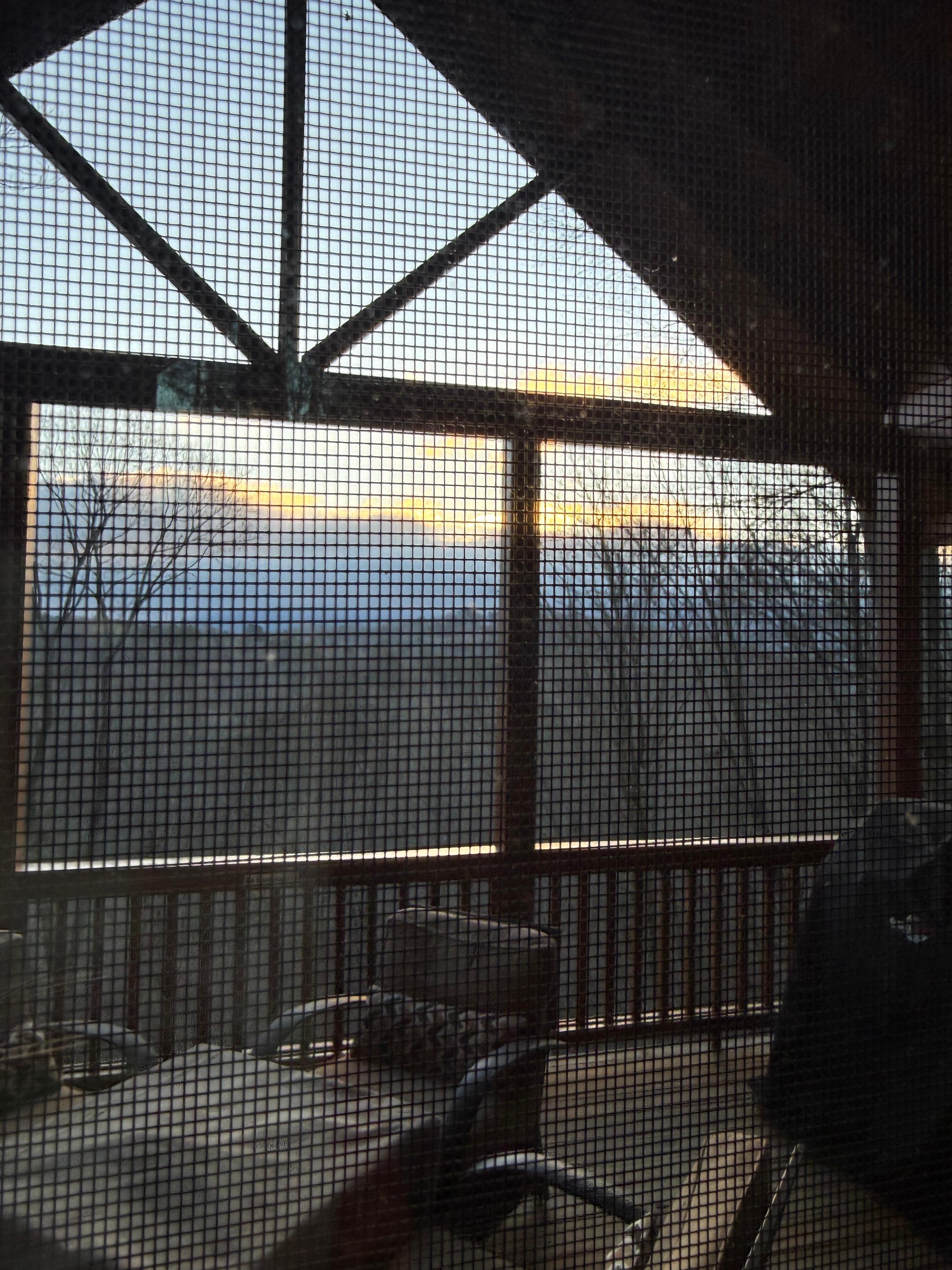 View from the cabin. 