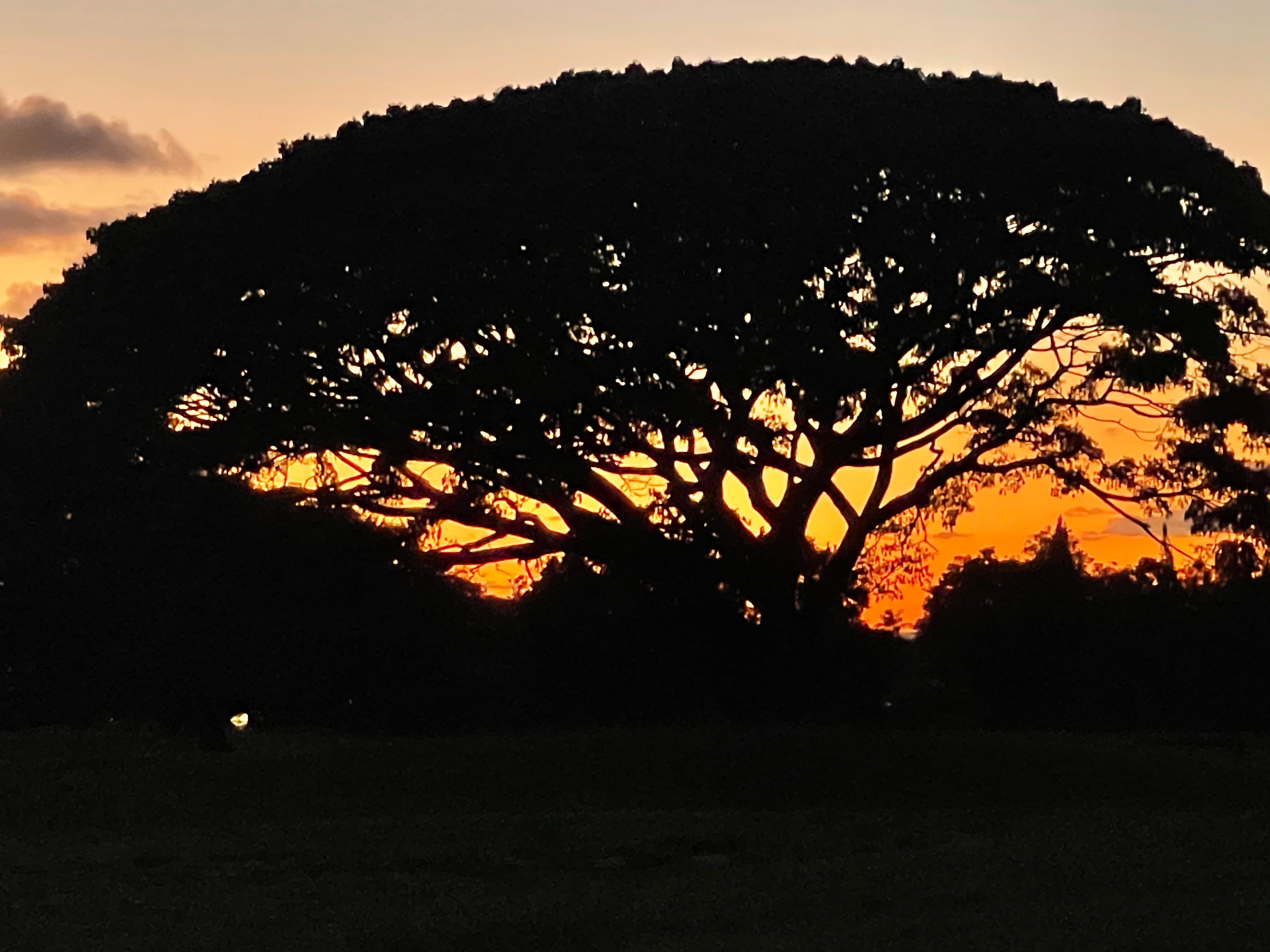 Sunset on the golf course