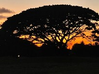Sunset on the golf course